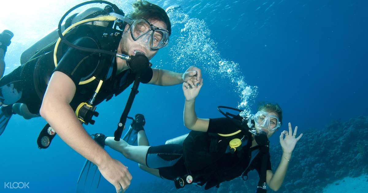 Fujairah Scuba Diving Experience from Dubai